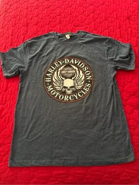 Harley-Davidson Blue Graphic Skull Wings T-shirt - Grand Turk - Size L